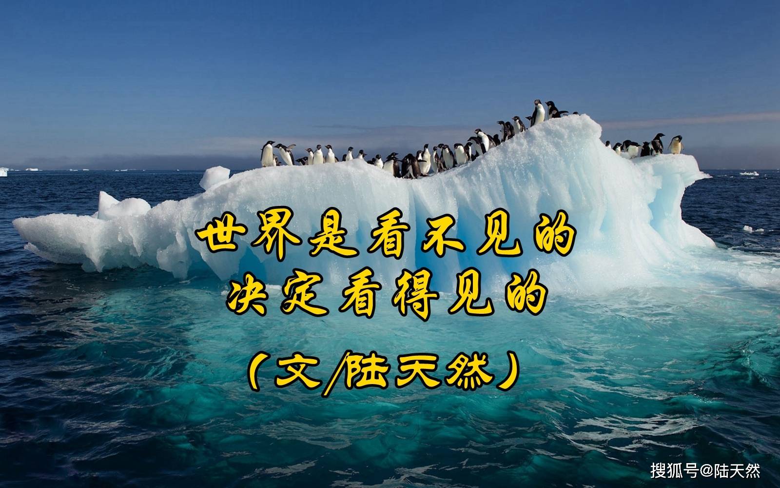 看不见的世界,效能解答解释落实_游戏版121，127.12