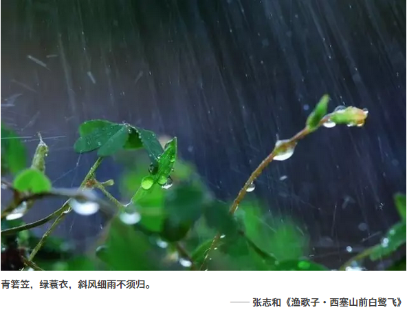 春雨在线观看高清免费,最新答案动态解析_vip2121，127.13