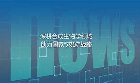 澳门49619王中王,豪华精英版79.26.45-江GO121，127.13