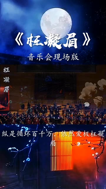 音乐会电视剧免费在线观看,豪华精英版79.26.45-江GO121，127.13