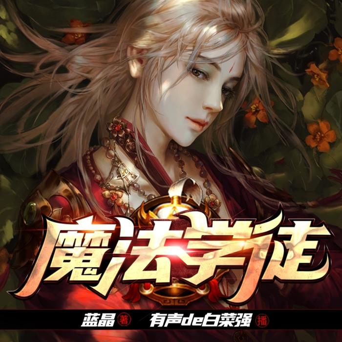 魔法师的学徒