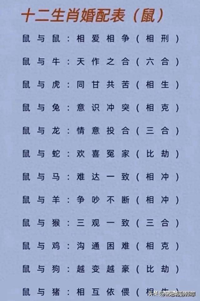 香港十二生肖开奖资料,最新热门解析实施_精英版121，127.13