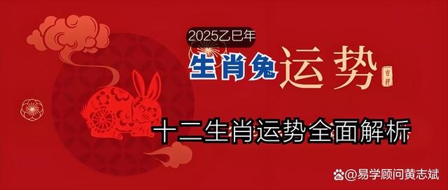 属兔人今日运势最准,数据解释落实_整合版121，127.13