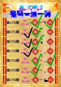 新澳门100%一肖,数据解释落实_整合版121，127.13