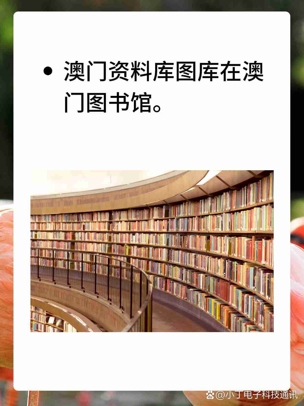 澳门图库图资料精准,资深解答解释落实_特别款72.21127.13.