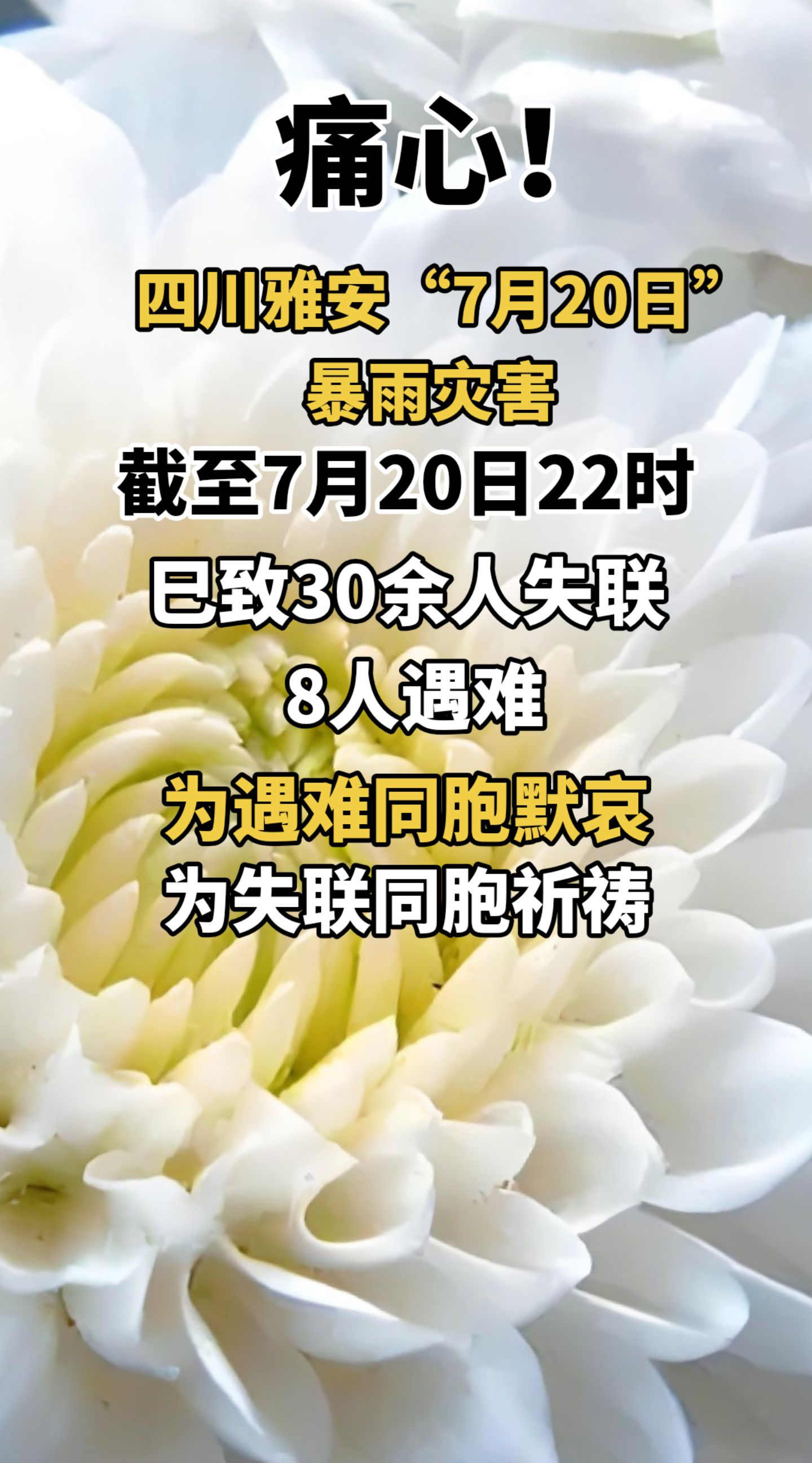 四川雅安暴雨已致8人遇难,准确答案解释落实_3DM4121，127.13