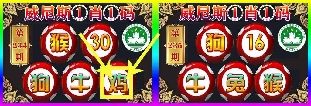 澳门三肖三码精准100%,效能解答解释落实_游戏版121，127.12