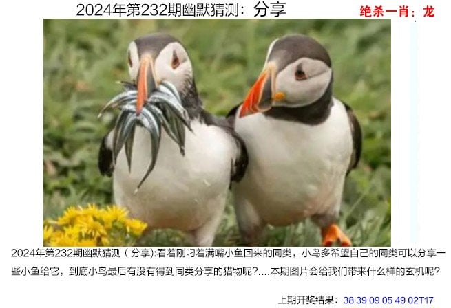 2024年澳门一肖一马期期准巧舌如簧是那个生肖