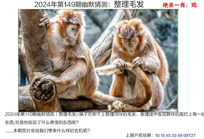 2024澳门最准的资料免费大全,数据解释落实_整合版121，127.13