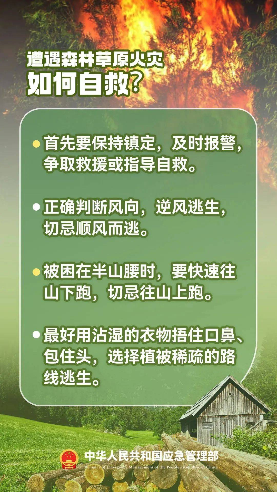 火灾致16死四川省成立调查组彻查,数据整合方案实施_投资版121，127.13