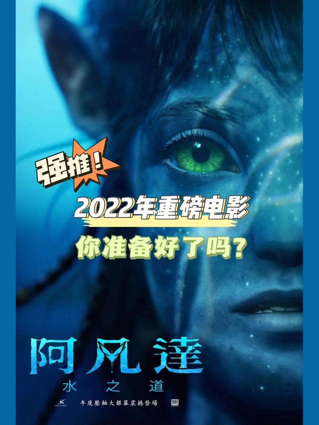 2022年十大必看电影排行榜,最新答案动态解析_vip2121，127.13