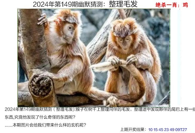 2024年新奥门王中王资料,效能解答解释落实_游戏版121，127.12