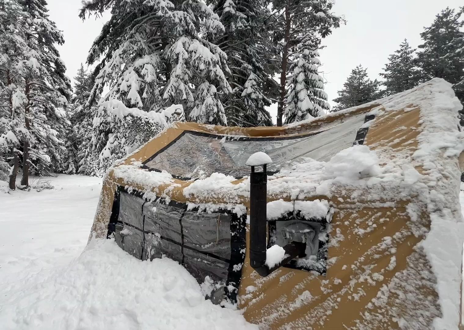 暴风雪中的白鸟