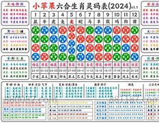 金多宝开奖结果今天,准确答案解释落实_3DM4121，127.13