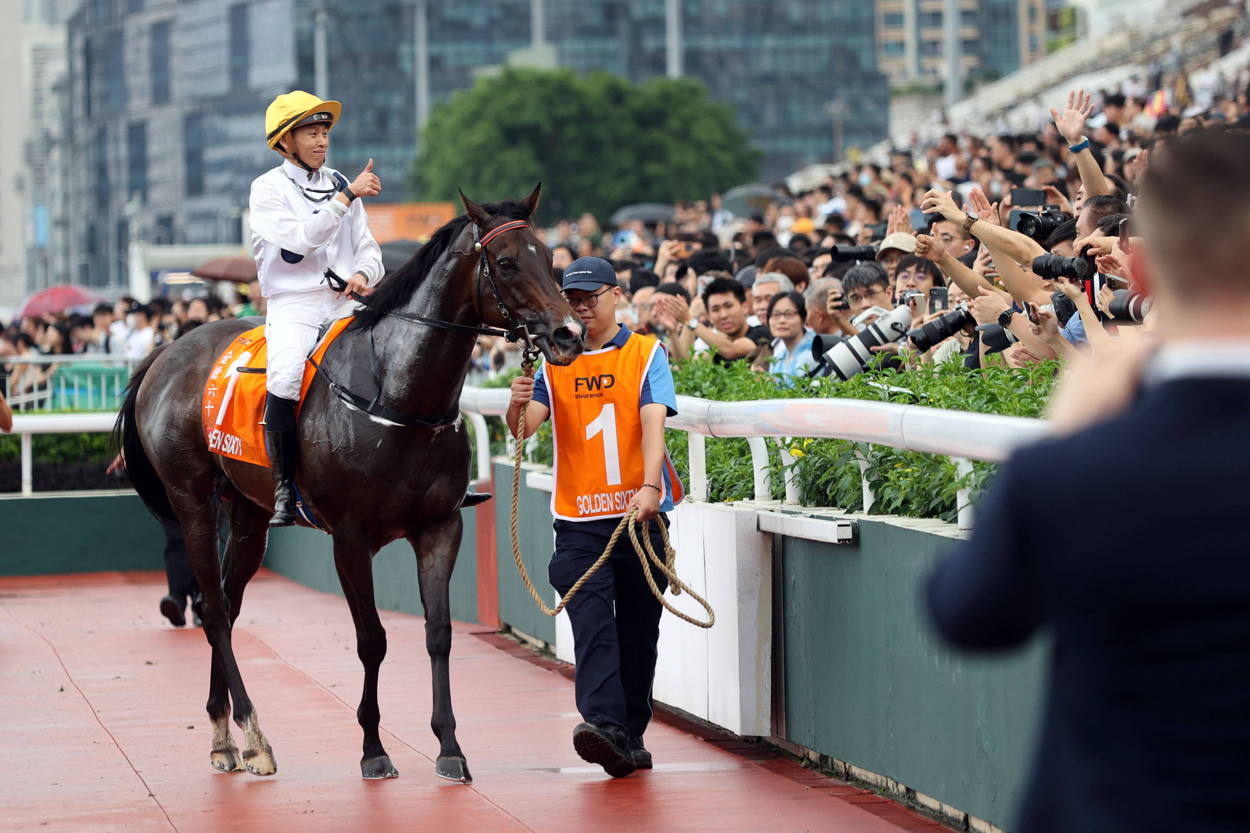 2024最准资料香港大全,豪华精英版79.26.45-江GO121，127.13