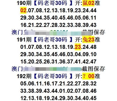 新澳门今晚持码资料