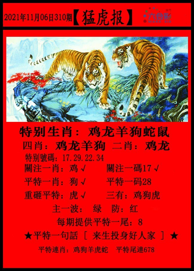 2021年澳门资料大全正版资料258期,数据解释落实_整合版121，127.13