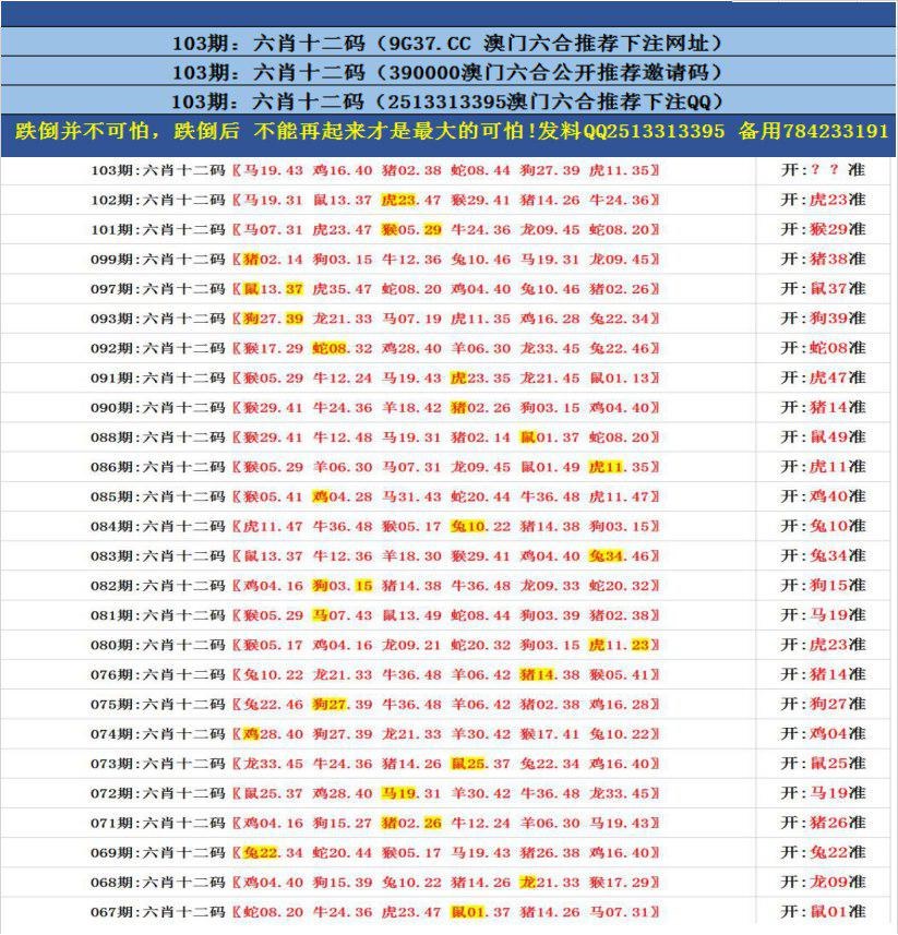 新六合澳门资料,资深解答解释落实_特别款72.21127.13.