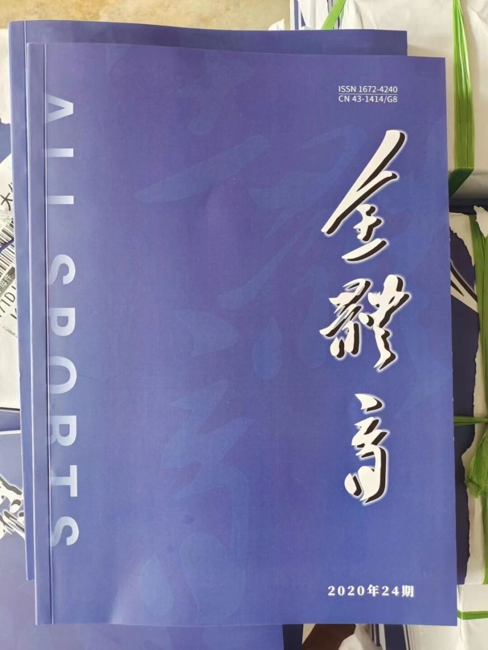 体育方面的刊物,数据解释落实_整合版121，127.13