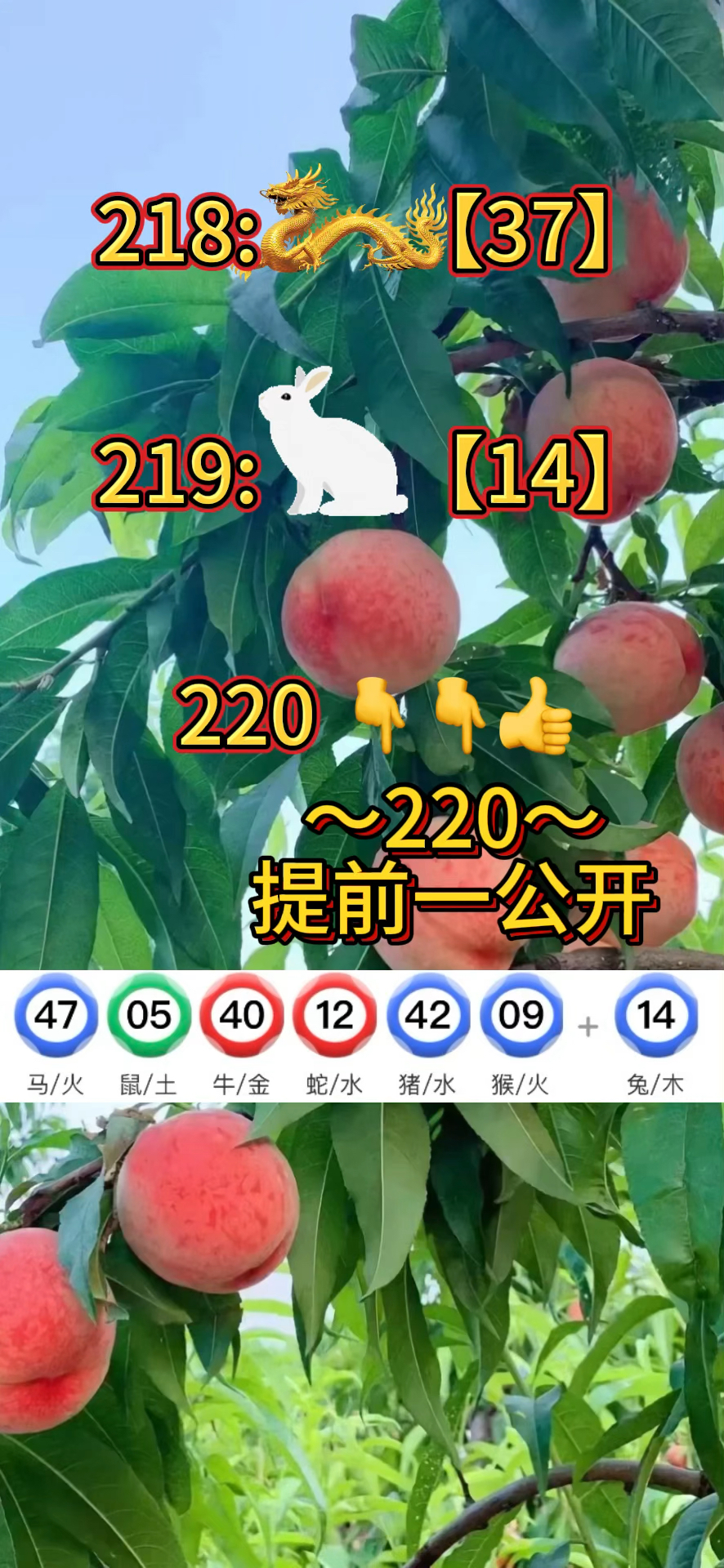 澳门12323网站资料查询