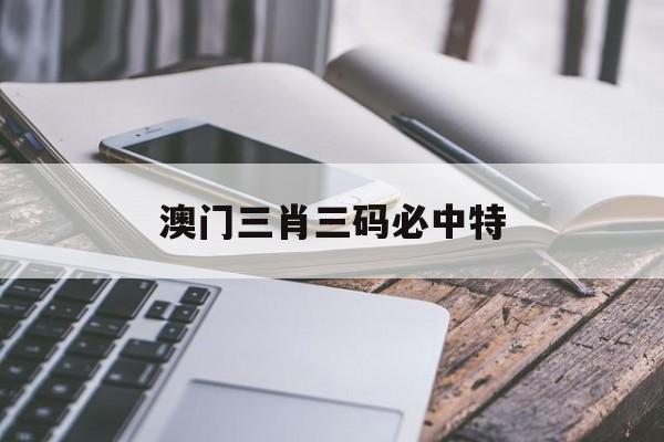 澳门三肖三码必中特,数据解释落实_整合版121，127.13