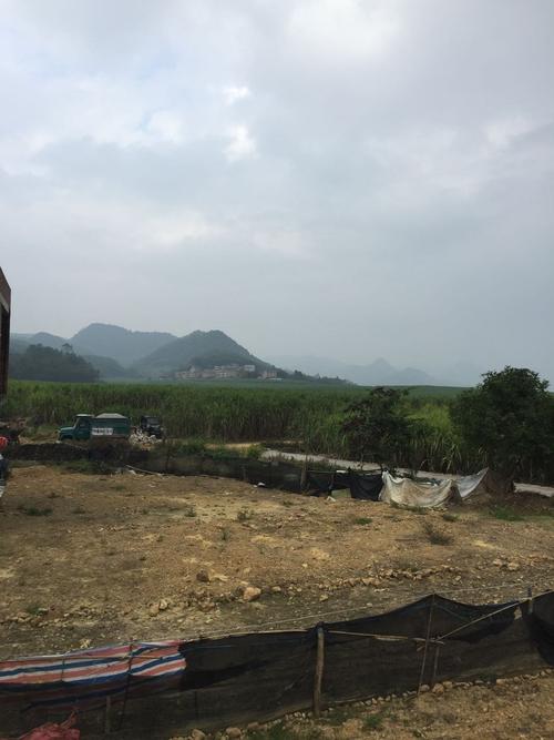 新澳2025今晚开奖结果和老人撞大巴门框身亡与老人撞大巴门框身亡怎么赔偿